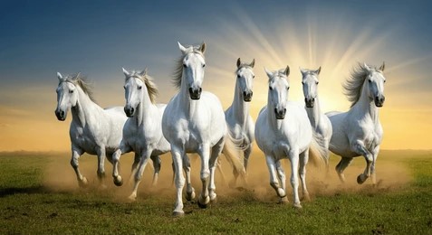 Company Photo